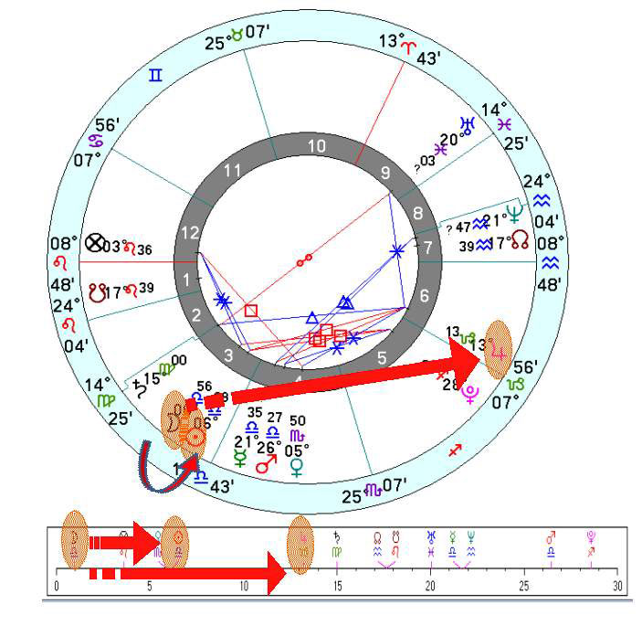 ris7